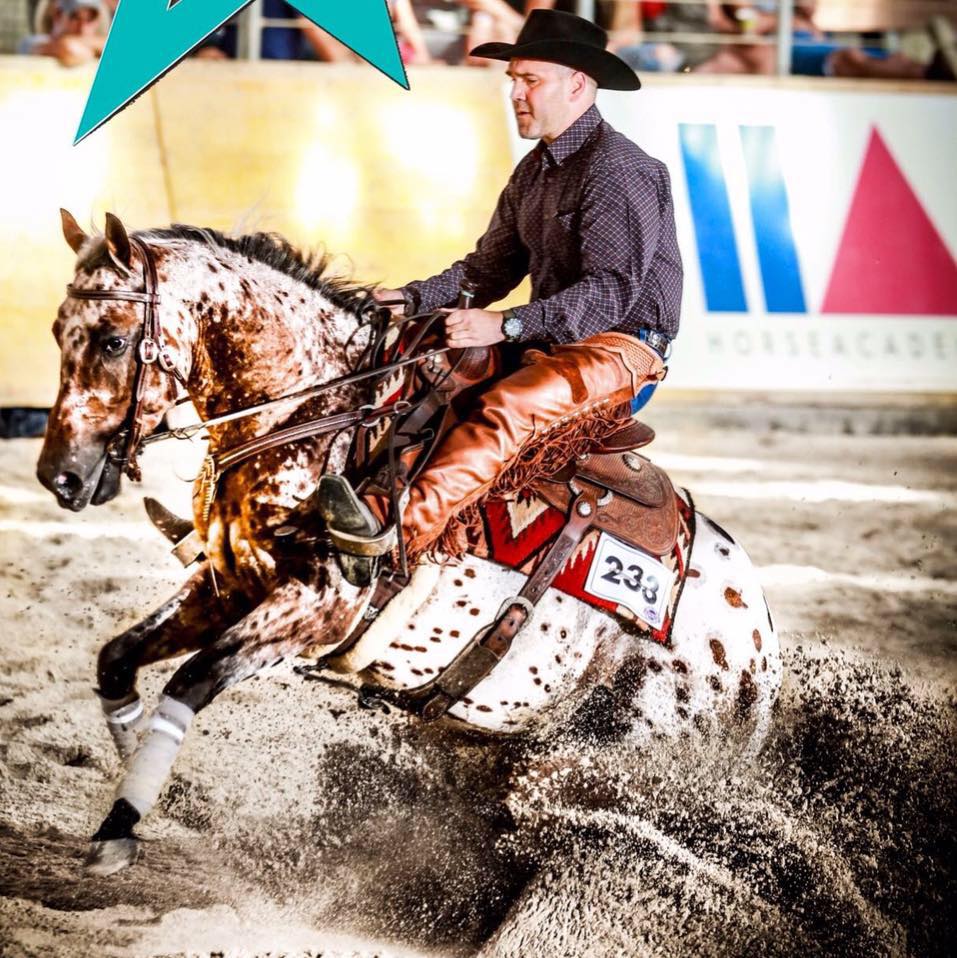 Western Appaloosa Horses